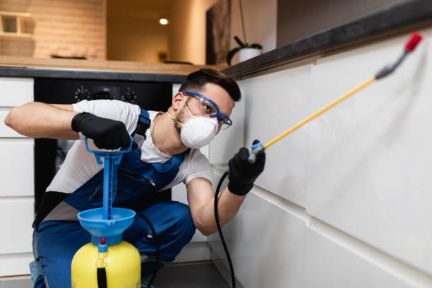Best Residential Pest Control  in Congers, NY