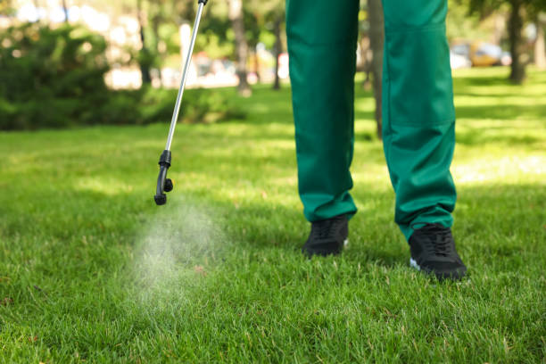 Best Pest Removal Services  in Congers, NY