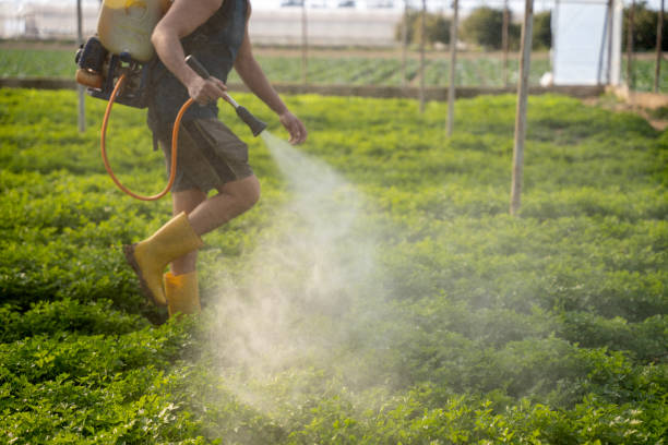 Best Affordable Pest Control Services  in Congers, NY