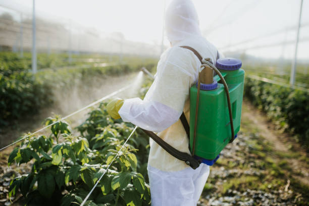 Best Wasp Removal Services  in Congers, NY